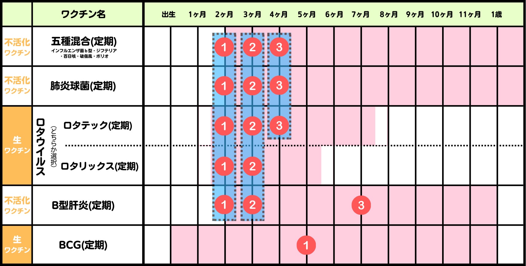 5種混合：生後2ヶ月、生後3ヶ月、生後4ヶ月の時に接種・肺炎球菌：生後2ヶ月、生後3ヶ月、生後4ヶ月の時に接種・ロタテック：生後2ヶ月、生後3ヶ月、生後4ヶ月の時に接種・ロタリックス：生後2ヶ月、生後3ヶ月の時に接種・B型肝炎：生後2ヶ月、生後3ヶ月、生後7ヶ月の時に接種・BCG：生後5ヶ月の時に接種