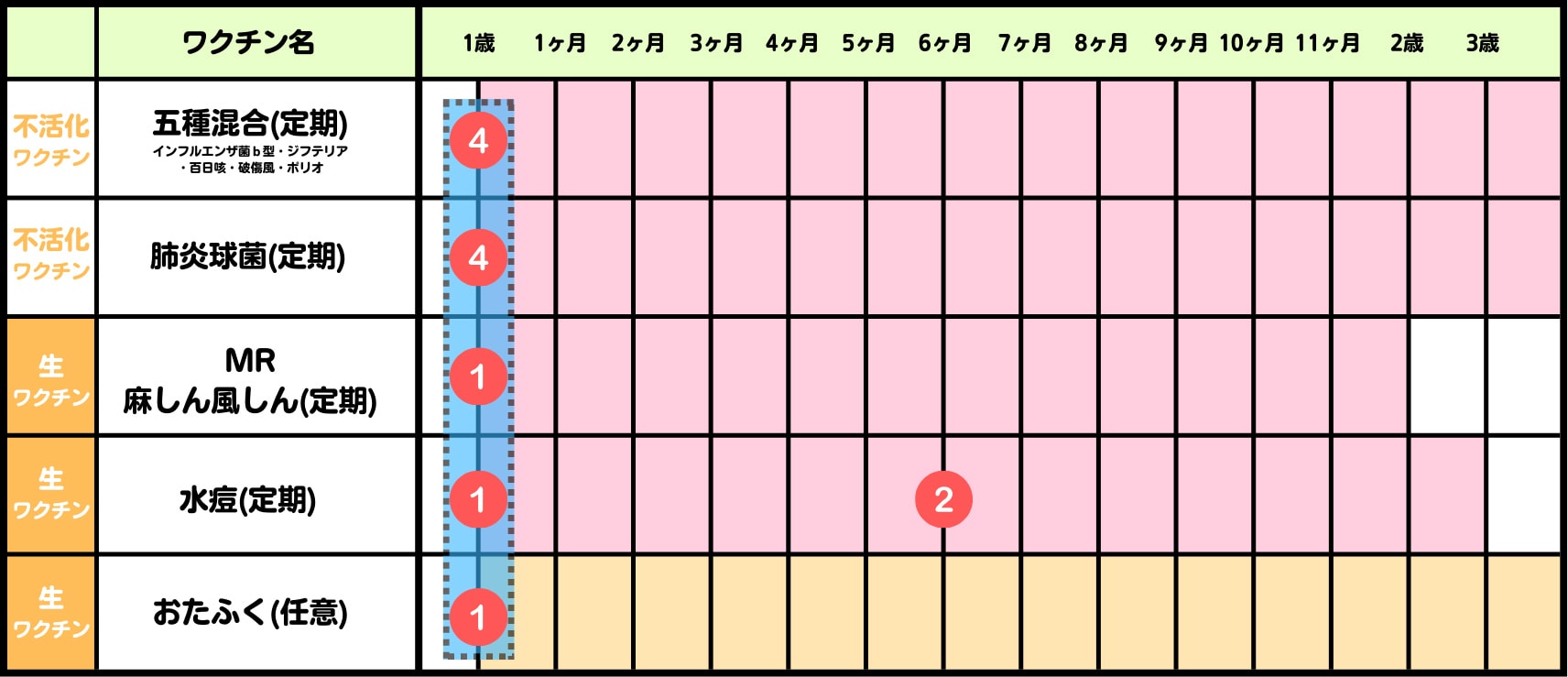 5種混合：1歳の時に接種・肺炎球菌：1歳の時に接種・MR麻しん・風しん：1歳の時に接種・水痘：1歳、1歳6か月の時に接種・おたふく：1歳の時に接種