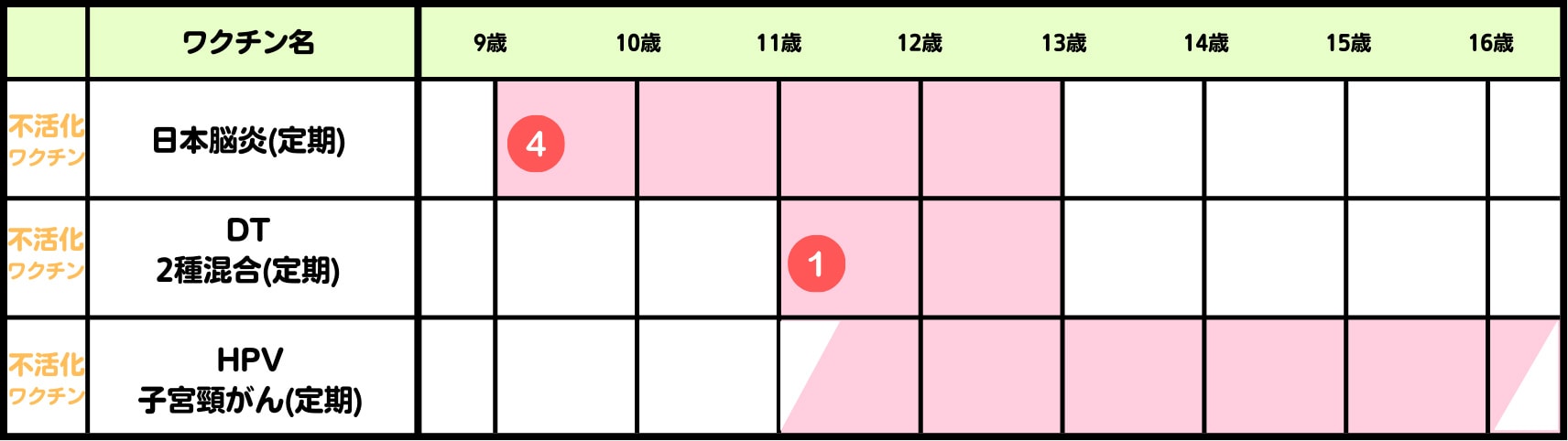 日本脳炎：9歳の時に接種・DT2種混合：11歳の時に接種・HPV子宮頸がん：11歳～15歳の誕生日までに1回目を受けた場合は6ヶ月後に2回を接種（合計2回）、15歳になってから1回目を摂取する場合は2ヶ月後に2回目、さらに6ヶ月後に3回目を接種（合計3回）